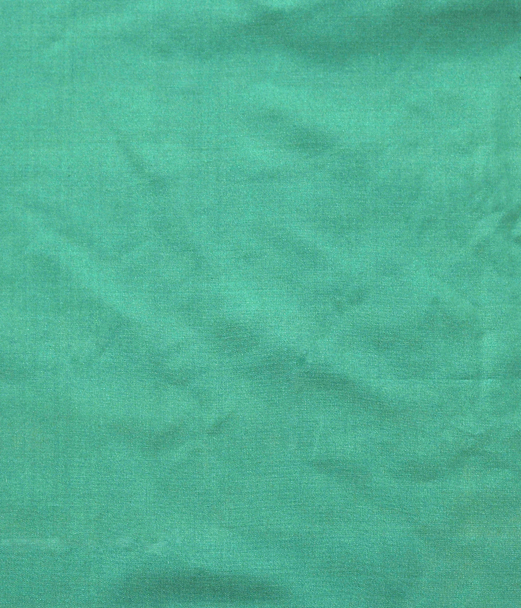 Handwoven_Green_Meenakari_Lehenga_with_Red_Border_WeaverStory_06