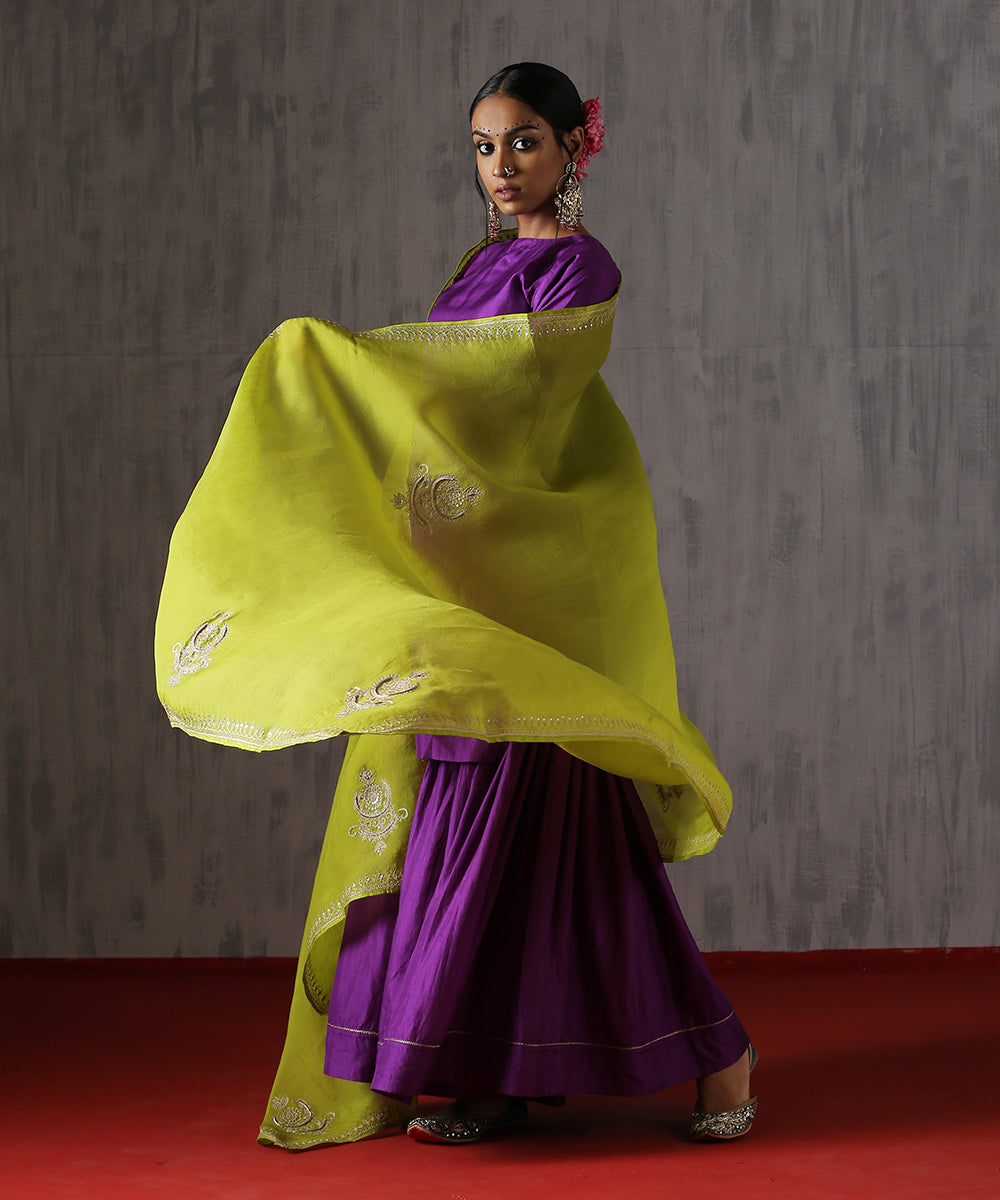 Lime_Green_Handloom_Pure_Organza_Dupatta_With_Hand_Embroidered_Aari_And_Mukaish_Motifs_WeaverStory_02
