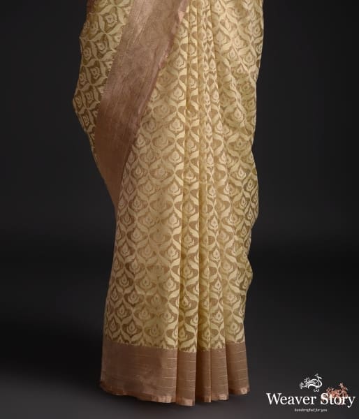 Handwoven_yellow_banarasi_Tissue_net_saree_with_gold_border_WeaverStory_04