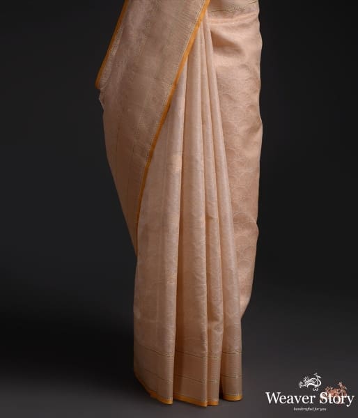Golden_Beige_Tissue_Kimkhab_saree_with_a_contrast_border_WeaverStory_04
