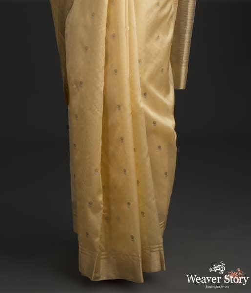 Golden_yellow_chanderi_silk_saree_with_small_floral_motifs_WeaverStory_03