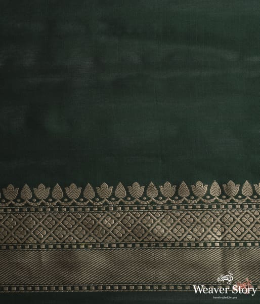 Emerald_Green_ektara_weave_saree_with_delicate_leaf_motifs_WeaverStory_05