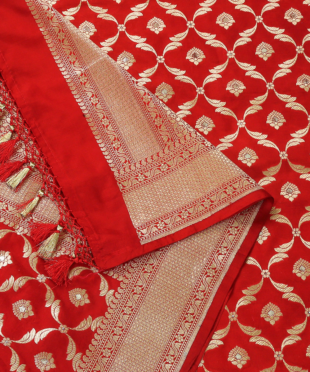 Handloom_Red_Pure_Katan_Silk_Banarasi_Dupatta_with_Cutwork_Jaal_WeaverStory_04