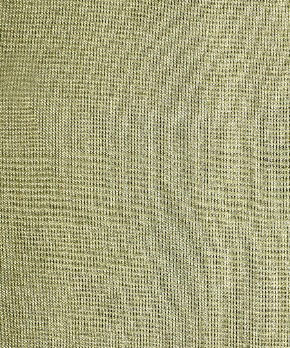 Light_Green_Handloom_Tissue_Chanderi_Fabric_WeaverStory_03