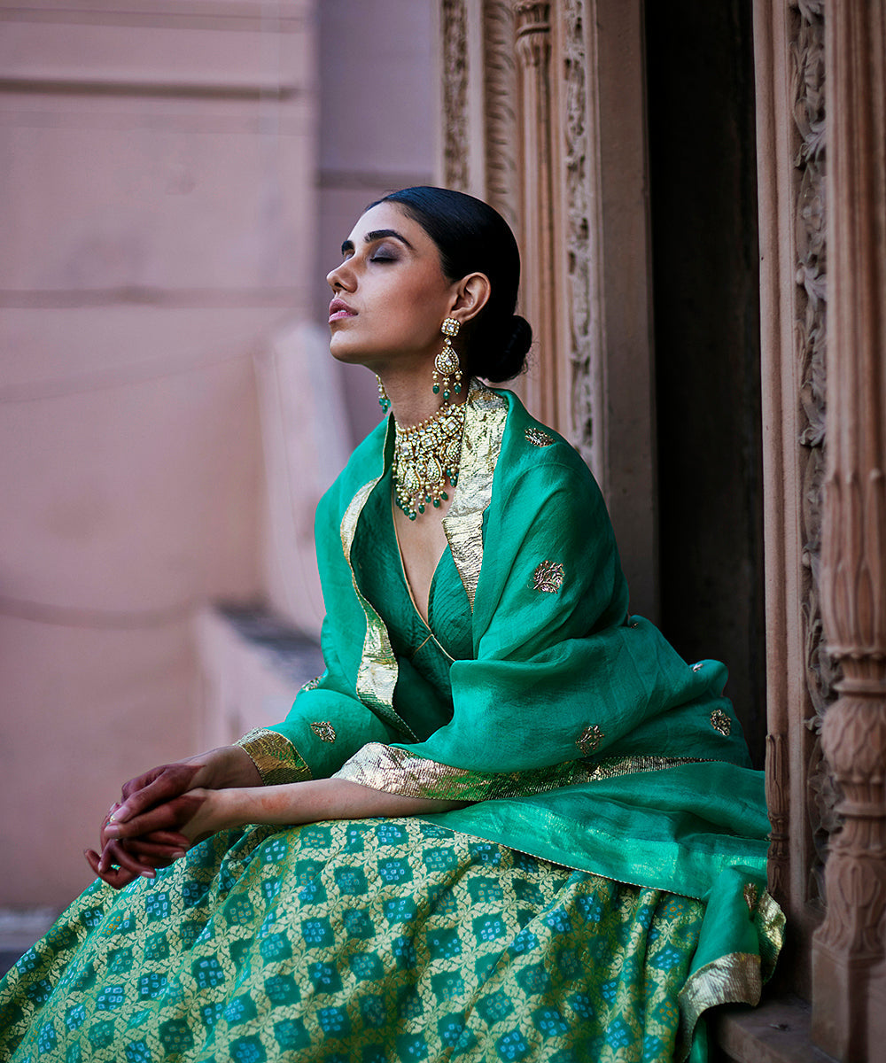 Light_Green_Georgette_Banarasi_Bandhej_Lehenga_Skirt_With_Silk_Scalloped_Blouse_And_Dupatta_WeaverStory_02