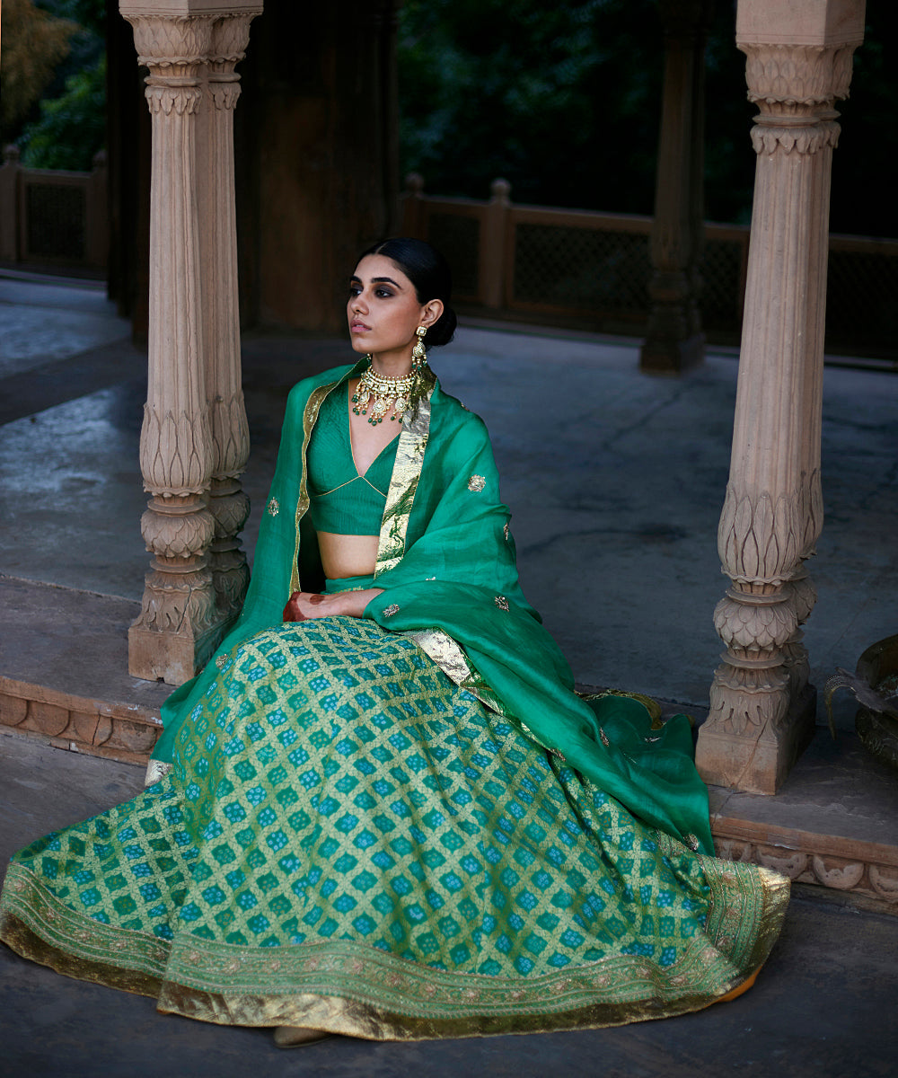 Light_Green_Georgette_Banarasi_Bandhej_Lehenga_Skirt_With_Silk_Scalloped_Blouse_And_Dupatta_WeaverStory_03