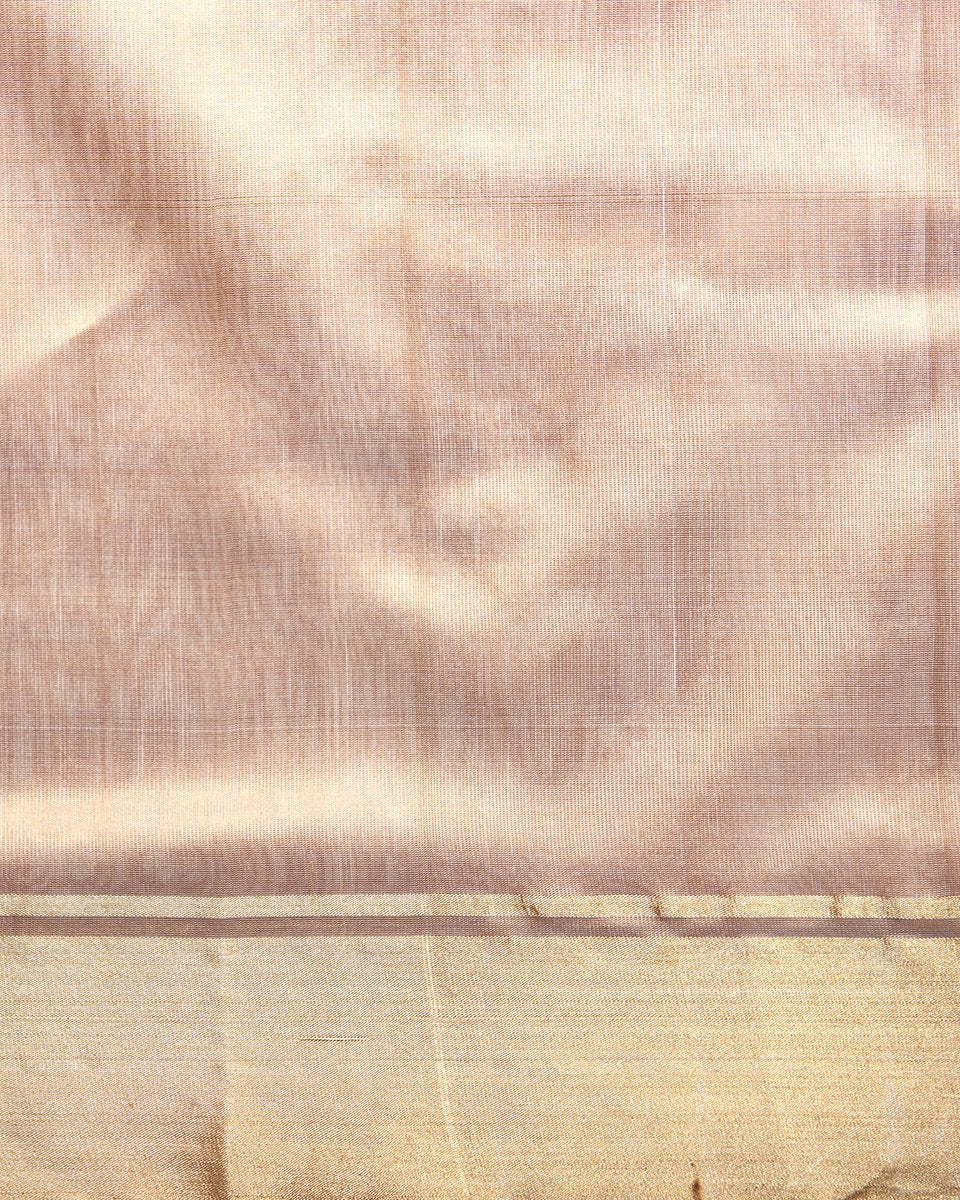 Golden_Beige_Handloom_Chanderi_Silk_Saree_With_Bird_Motifs_WeaverStory_05