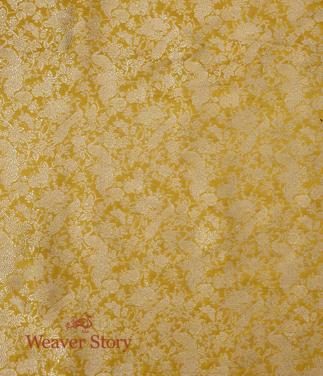 Handloom_Yellow_Mor_Bagh_Shikargah_Fabric_WeaverStory_04