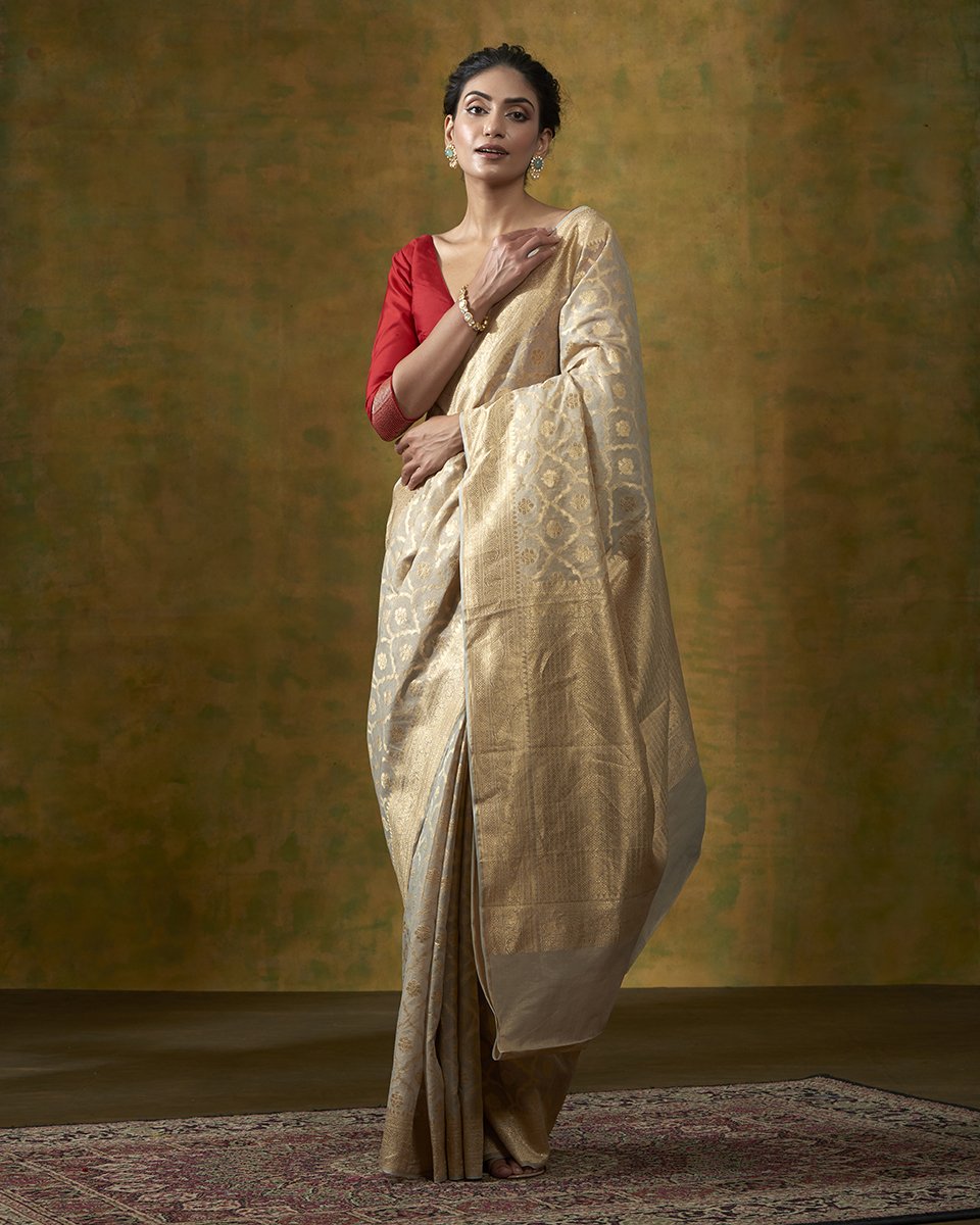 Handloom_Beige_Banarasi_Katan_Tissue_Saree_with_all_over_Cutwork_Jaal_WeaverStory_02