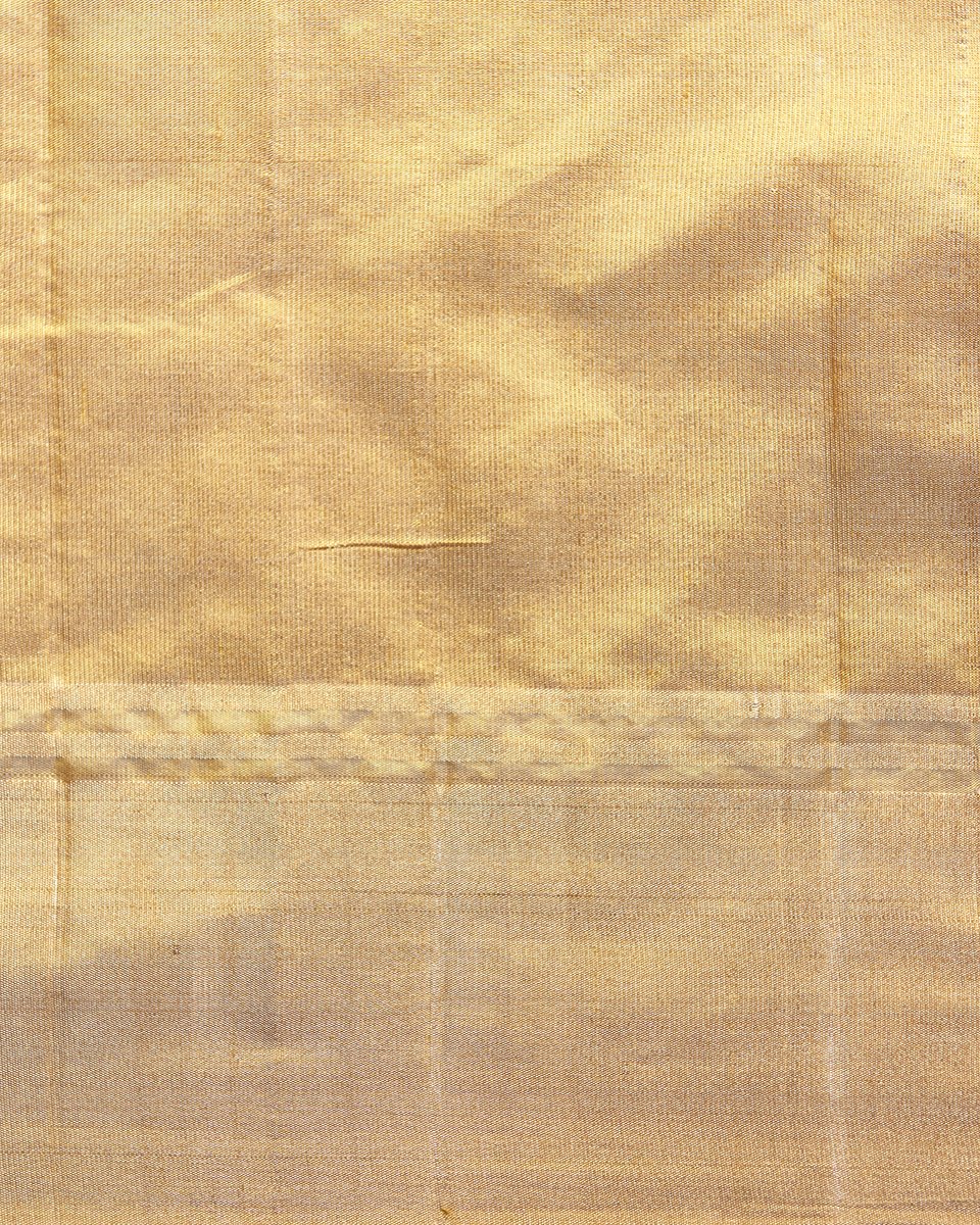 Mustard_Handloom_Tissue_Saree_With_Floral_Meenakari_Boota_WeaverStory_05