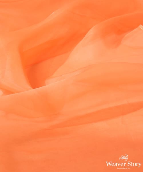 Peach_Fuzz_Organza_Saree_With_Tonal_Blouse_In_Organza_WeaverStory_05