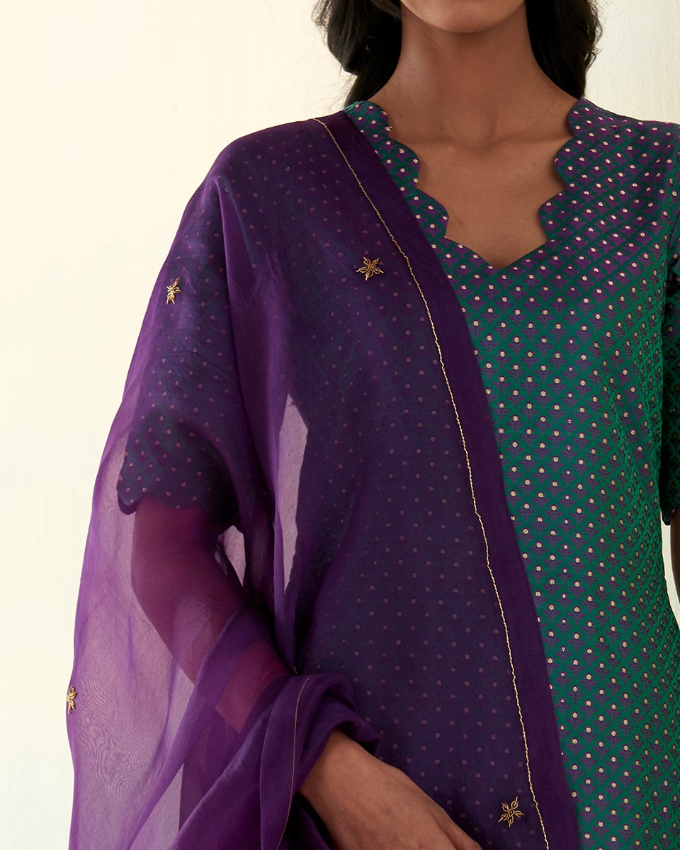 Shiza_Purple_and_Green_Pure_Silk_Banarasu_Tanchoi_Kurta_with_Pants_and_Organza_Dupatta_WeaverStory_05