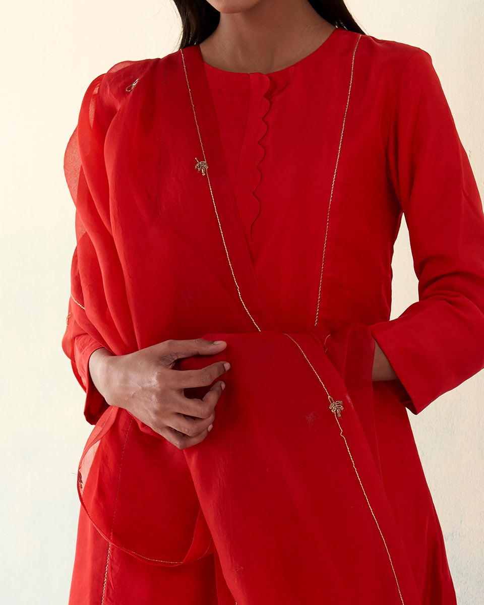 Gulaab_Red_Pure_Silk_Kurta_and_Banarasi_Gold_Zari_Boota_Pants_and_Organza_Dupatta_WeaverStory_05