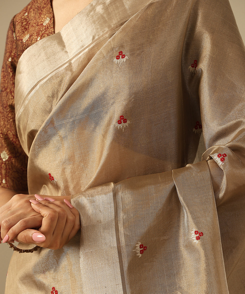 Khaki_And_Silver_Handloom_Pure_Tissue_Chanderi_Saree_With_Meenakari_Floral_Booti_WeaverStory_04
