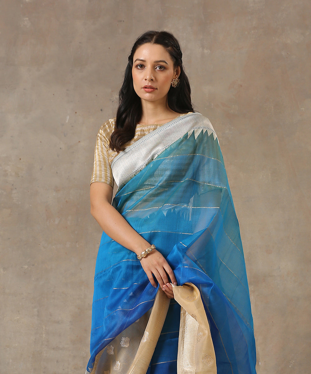Blue_Handloom_Ektara_Organza_Banarasi_Saree_With_Beige_Kadhwa_Booti_Border_WeaverStory_01