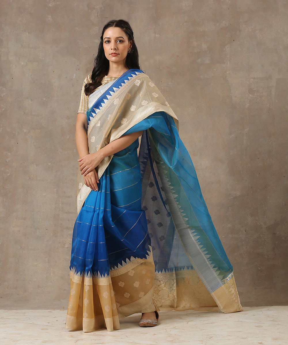 Blue_Handloom_Ektara_Organza_Banarasi_Saree_With_Beige_Kadhwa_Booti_Border_WeaverStory_02
