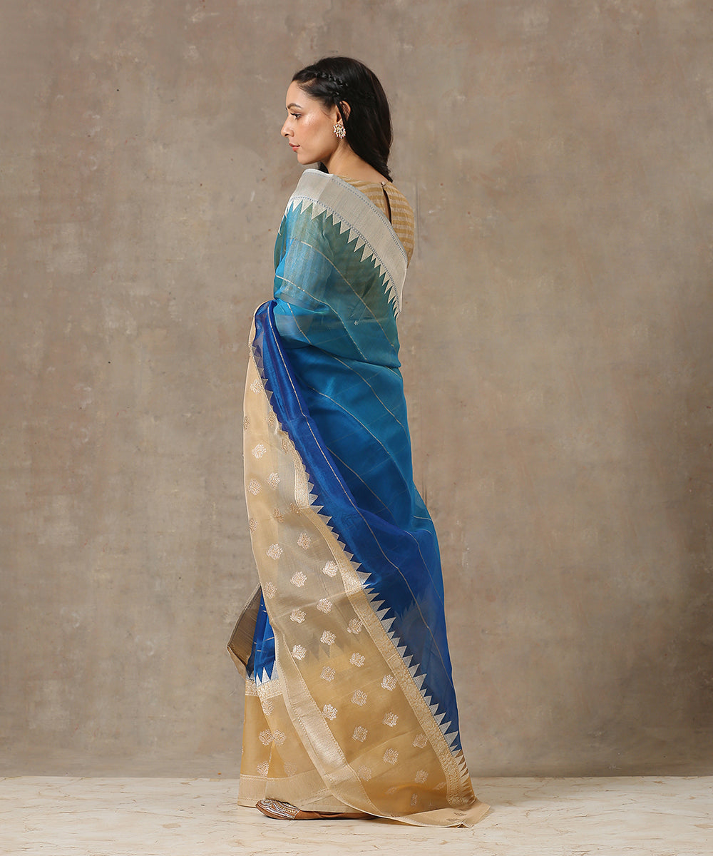 Blue_Handloom_Ektara_Organza_Banarasi_Saree_With_Beige_Kadhwa_Booti_Border_WeaverStory_03