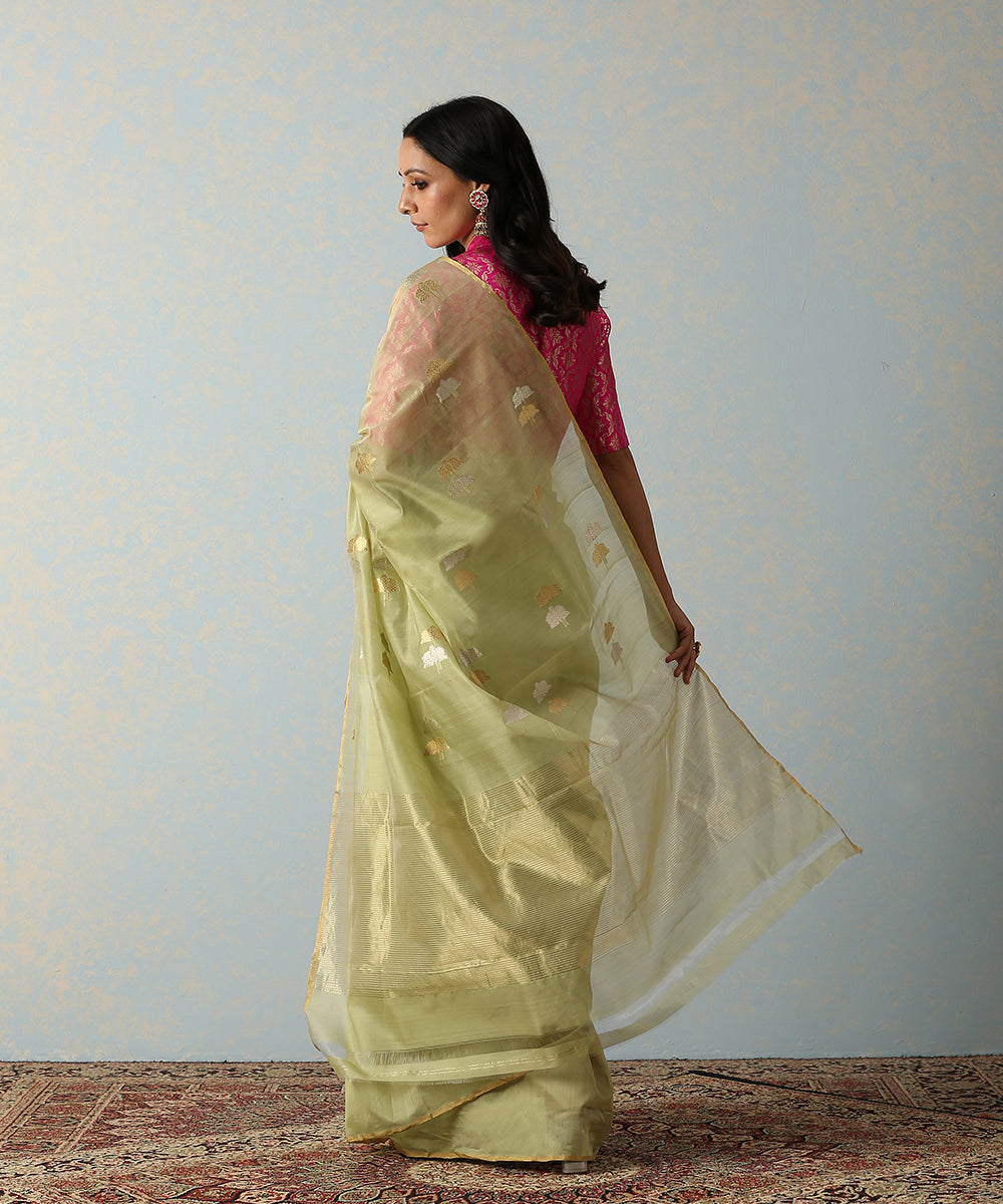 Pista_Green_Handloom_Chanderi_Saree_With_Double_Tree_Motif_WeaverStory_03