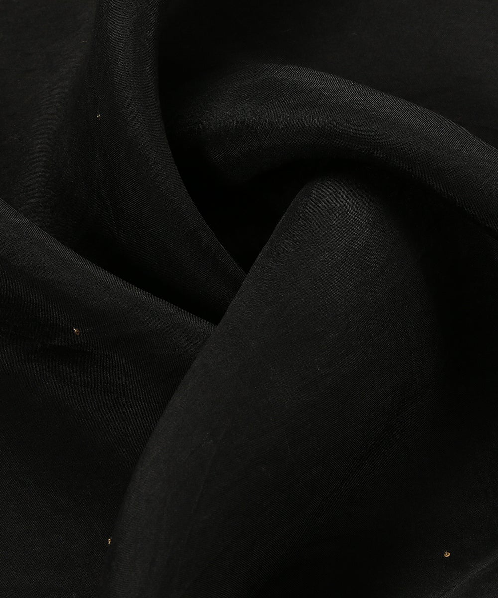 Black_Handloom_Organza_Dupatta_with_Aari_Embroidery_Border_WeaverStory_05
