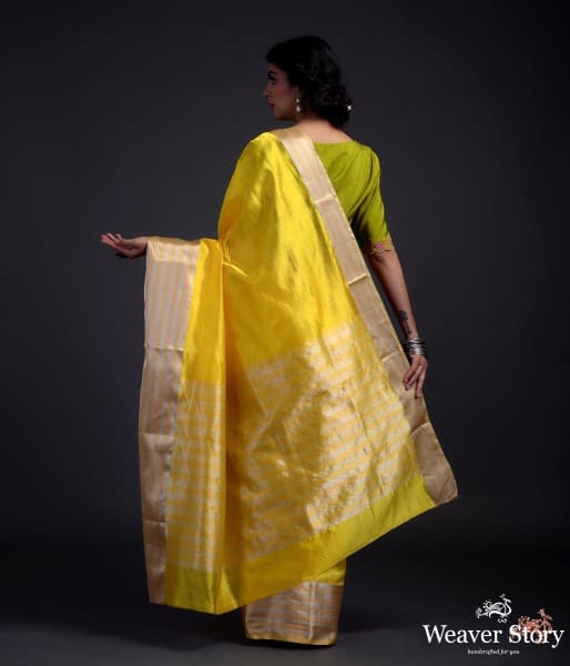 Yellow_silk_chanderi_saree_with_Gold_and_silver_borders_WeaverStory_03