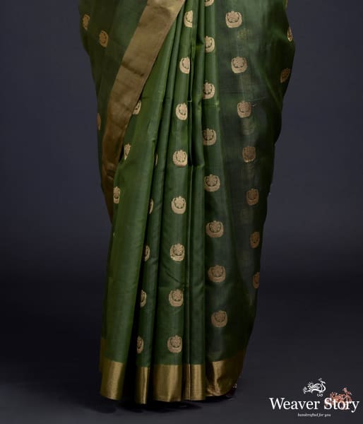 Henna_green_chanderi_silk_saree_with_gold_zari_chaand_boota_WeaverStory_04