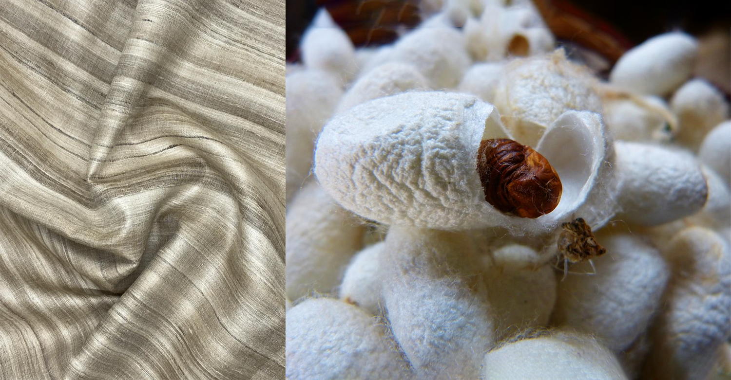 Eri Silk: The Fabric of Mindful Luxury