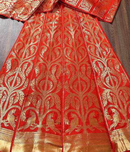 Handloom_Red_Cutwork_Banarasi_Lehenga_with_Parrots_Motifs_WeaverStory_02