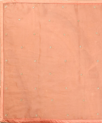 Light_Peach_Handloom_Organza_Dupatta_With_Hand_Embroidered_Booti_WeaverStory_02