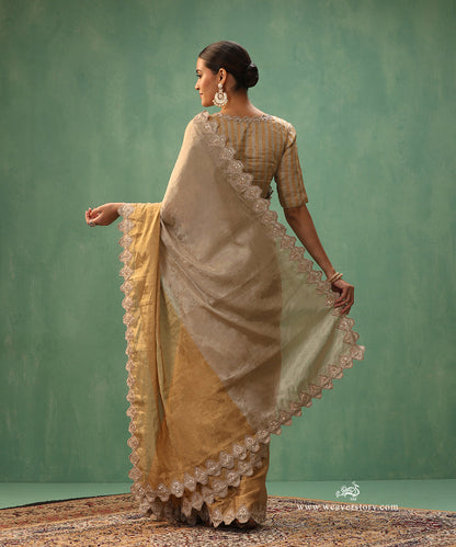 Silver_And_Gold_Tissue_Silk_Saree_With_Scallop_Embroidery_On_Borders_WeaverStory_03