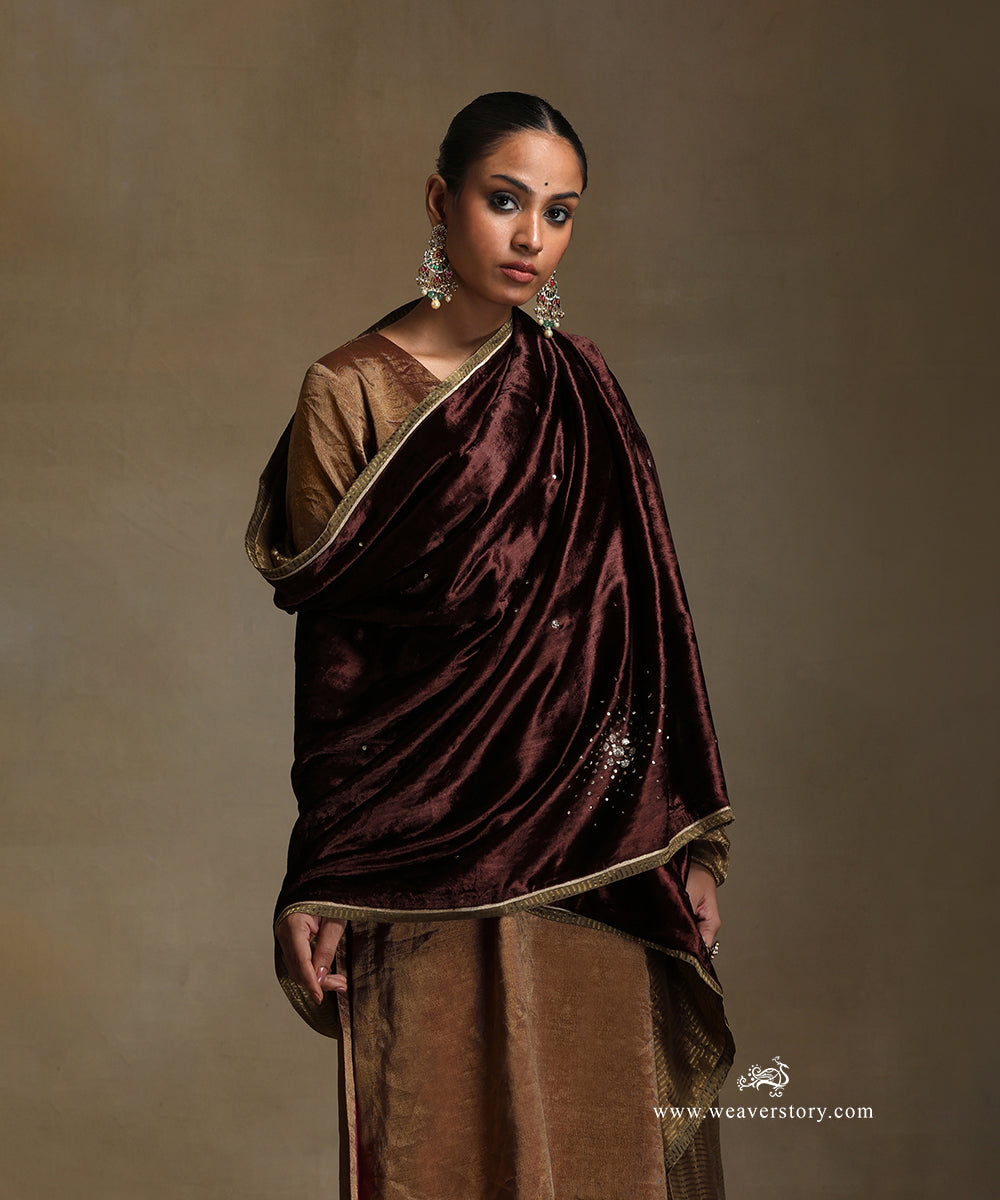 Brown_Hand_Embroidered_Silk_Velvet_Doshala_With_Contrast_Chanderi_Tissue_Border_WeaverStory_01