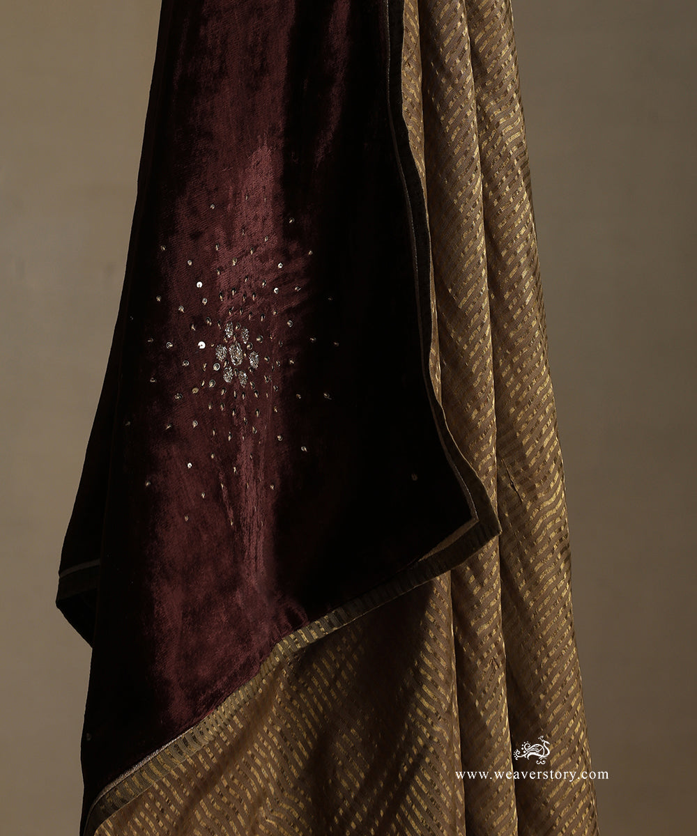 Brown_Hand_Embroidered_Silk_Velvet_Doshala_With_Contrast_Chanderi_Tissue_Border_WeaverStory_05