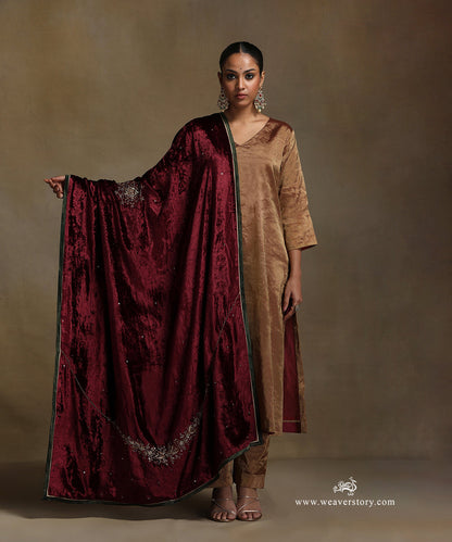 Brown_Hand_Embroidered_Silk_Velvet_Doshala_With_Contrast_Chanderi_Tissue_Border_WeaverStory_02