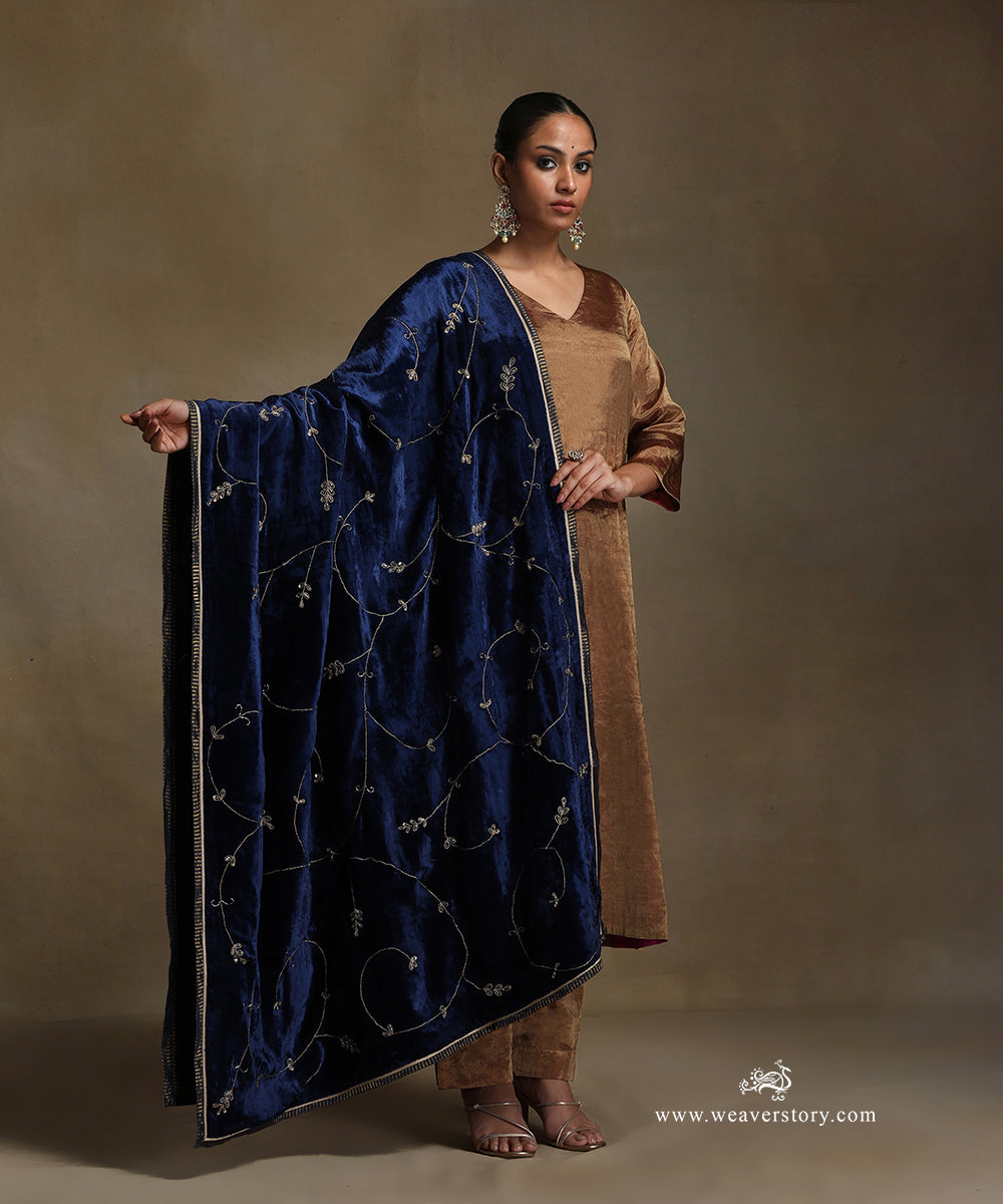 Blue_Hand_Embroidered_Silk_Velvet_Doshala_With_Contrast_Chanderi_Tissue_Border_WeaverStory_02