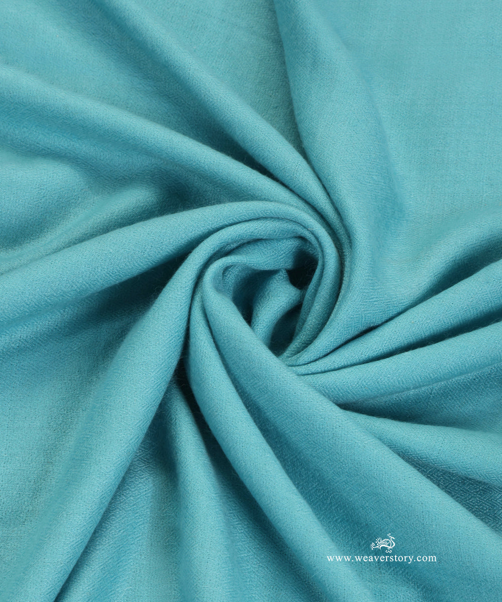 Blue_Pure_Pashmina_Shawl_With_Sozini_Border_WeaverStory_06