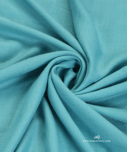Blue_Pure_Pashmina_Shawl_With_Sozini_Border_WeaverStory_06