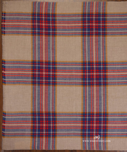 Multicolour_Pure_Pashmina_Shawl_With_Ikat_Weaving_With_Stripes_WeaverStory_03