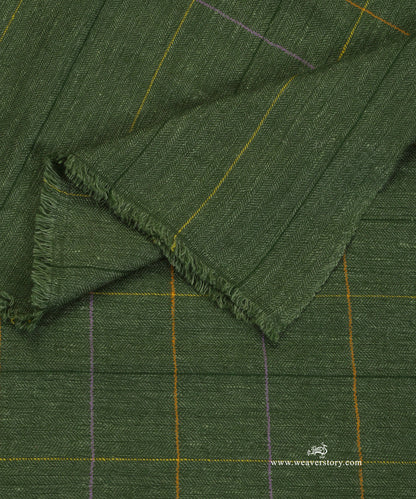 Green_Pure_Pashmina_Shawl_With_Ikat_Weaving_With_Checks_WeaverStory_05
