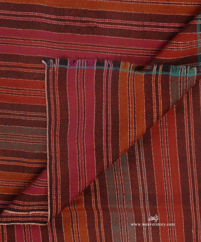 Multicolor_Striped_Pure_Pashmina_Shawl_With_Ikat_Weaving_WeaverStory_05