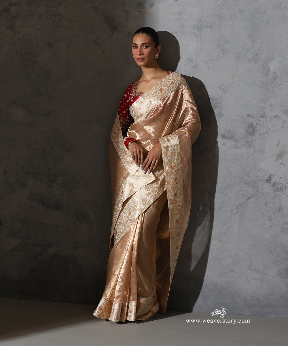 Full front view of Padmika gold Tissue Organza saree with vintage handwoven Banarasi border, styled with a red blouse
