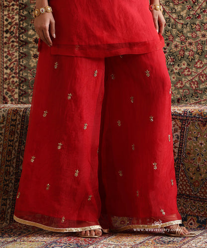 Red Pure Silk Organza Hand Embroidered Sharara Set