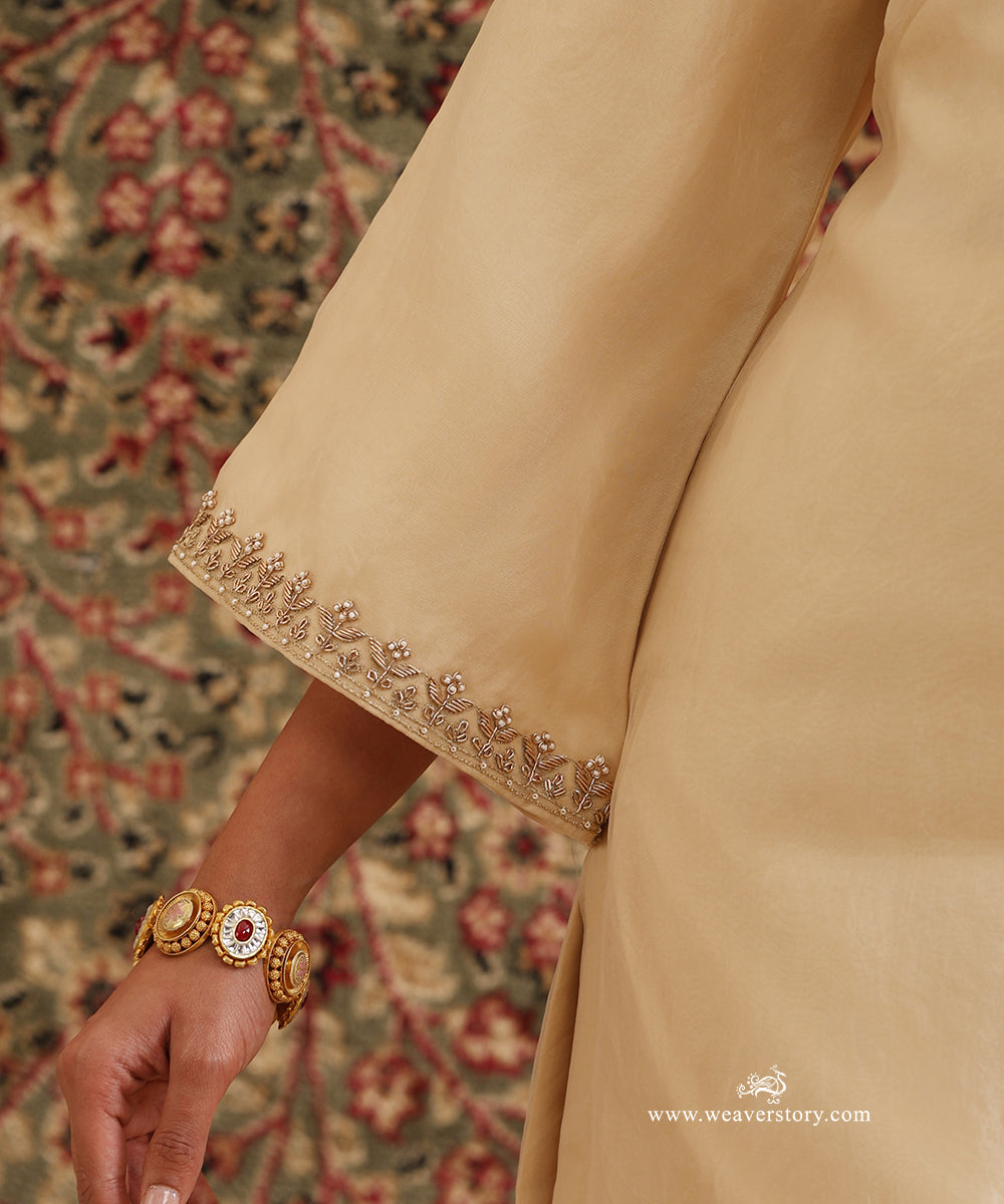 Pure Silk Organza Fabric and Handcrafted Embroidery Detail