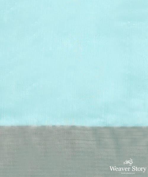 Handloom_Sky_Blue_Pure_Chanderi_Saree_With_Chand_Booti_And_Tissue_Border_WeaverStory05