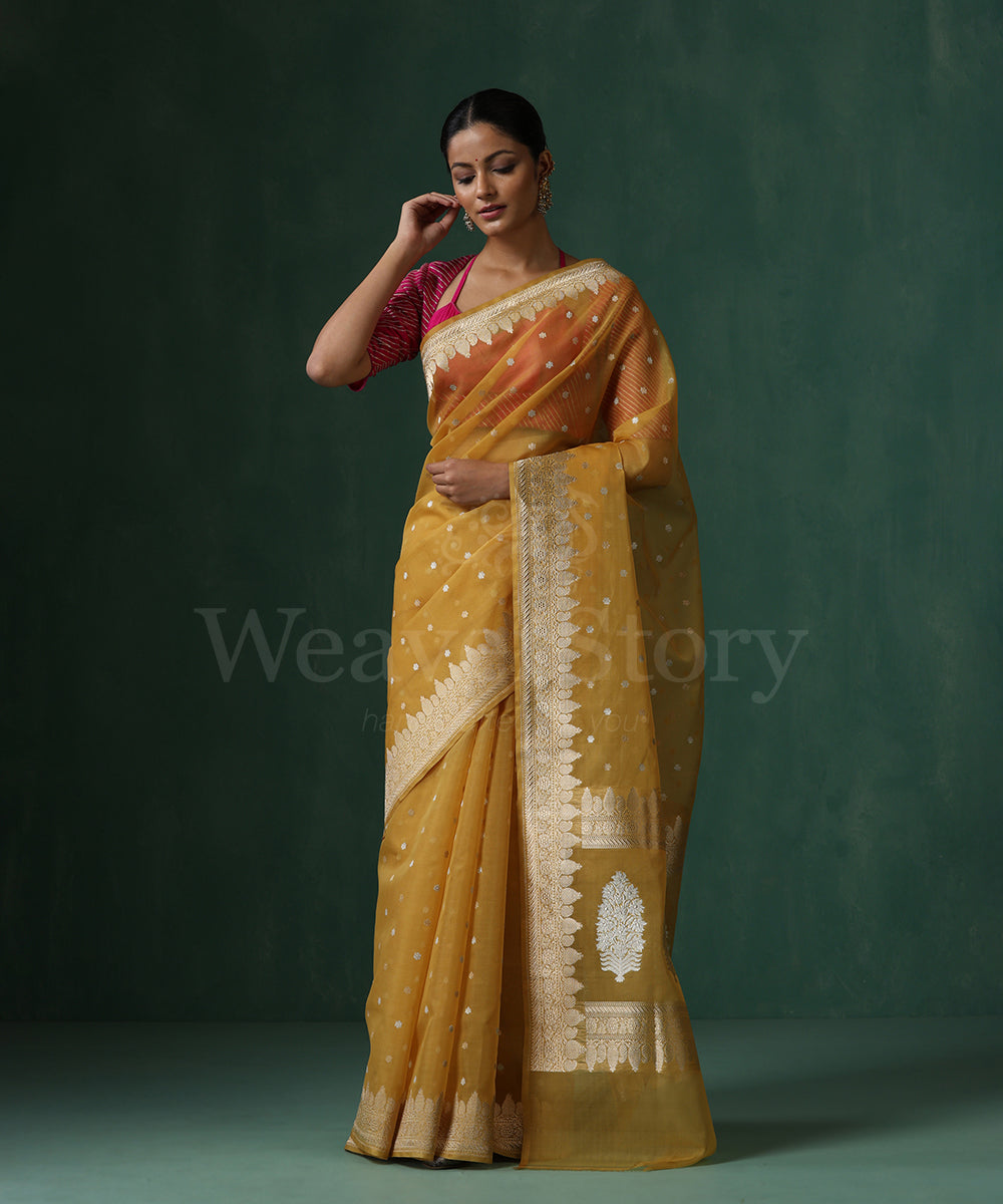 Mustard_Handloom_Pure_Kora_Silk_Banarasi_Saree_With_Sona_Rupa_Kadhwa_Small_Zari_Booti_WeaverStory_01