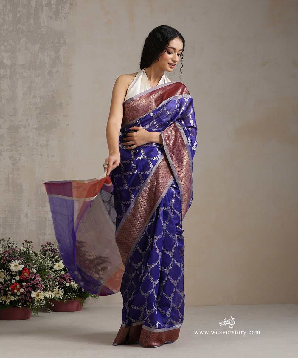 Cobalt_Blue_Handloom_Pure_Silk_Chanderi_Saree_With_Allover_Silver_Zari_Jaal_With_Red_Meena_WeaverStory_02