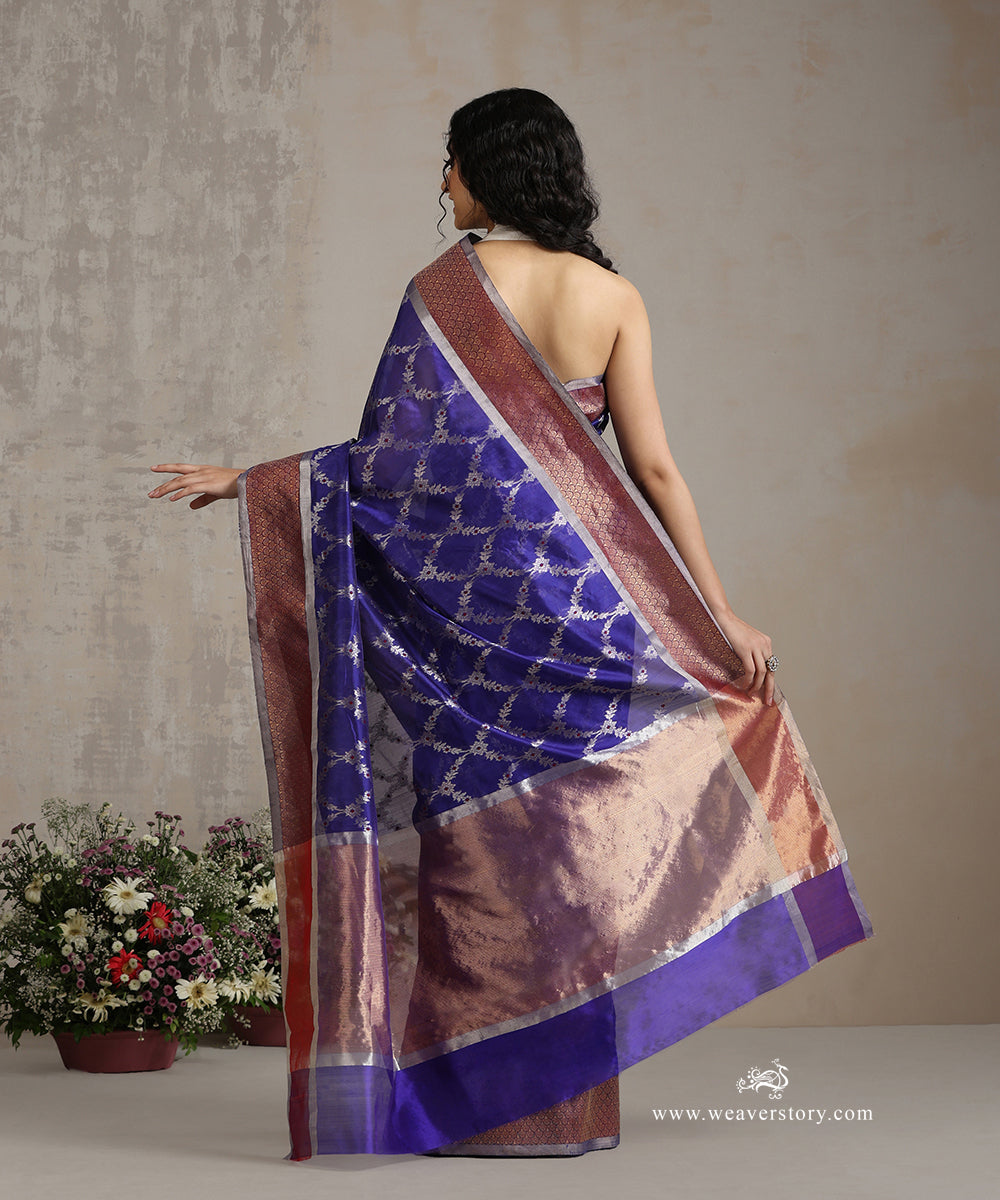 Cobalt_Blue_Handloom_Pure_Silk_Chanderi_Saree_With_Allover_Silver_Zari_Jaal_With_Red_Meena_WeaverStory_03