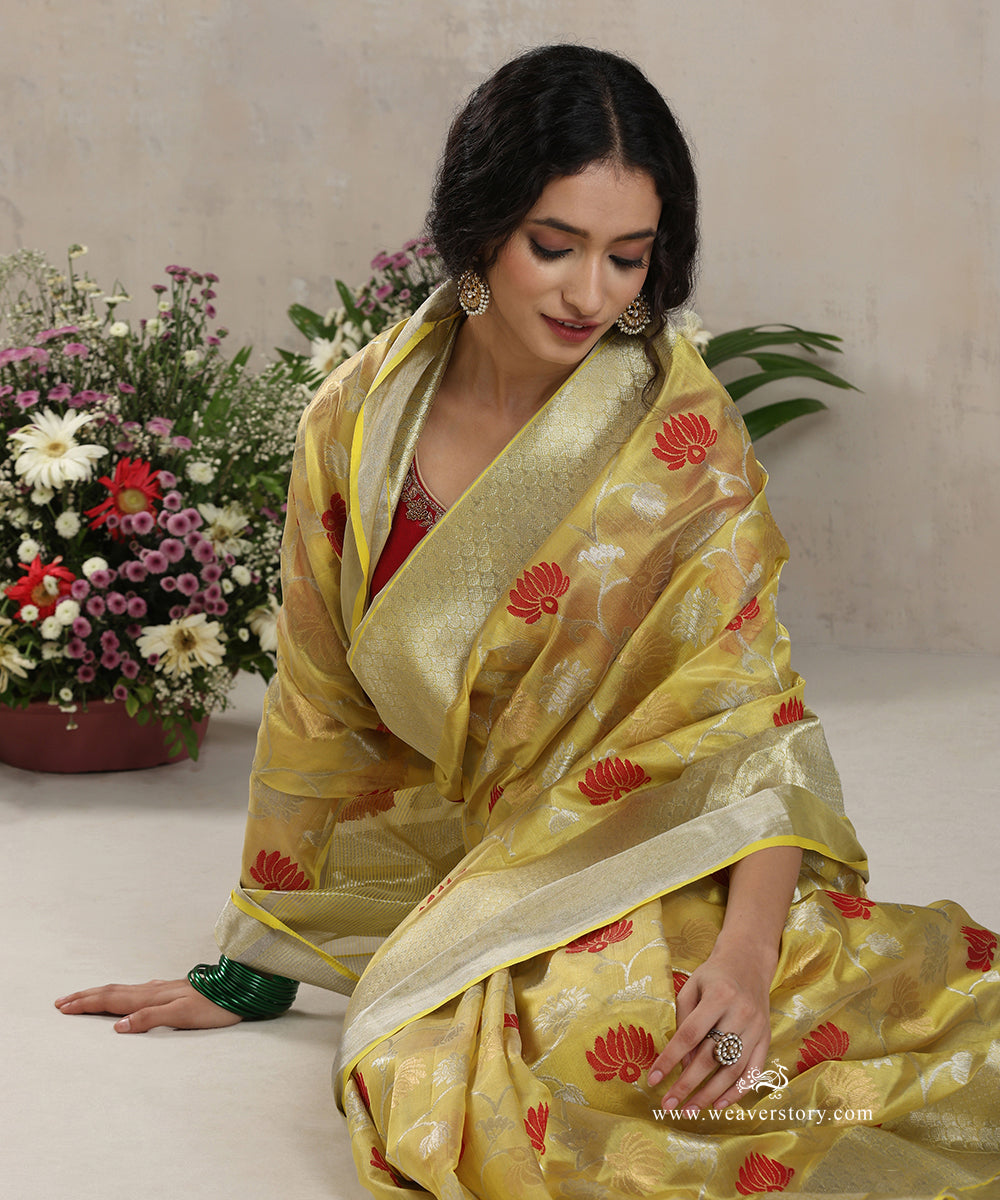 Yellow_Handloom_Pure_Silk_Chanderi_Saree_With_Allover_Gold_And_Silver_Lotus_Jaal_And_Silver_Border_WeaverStory_01