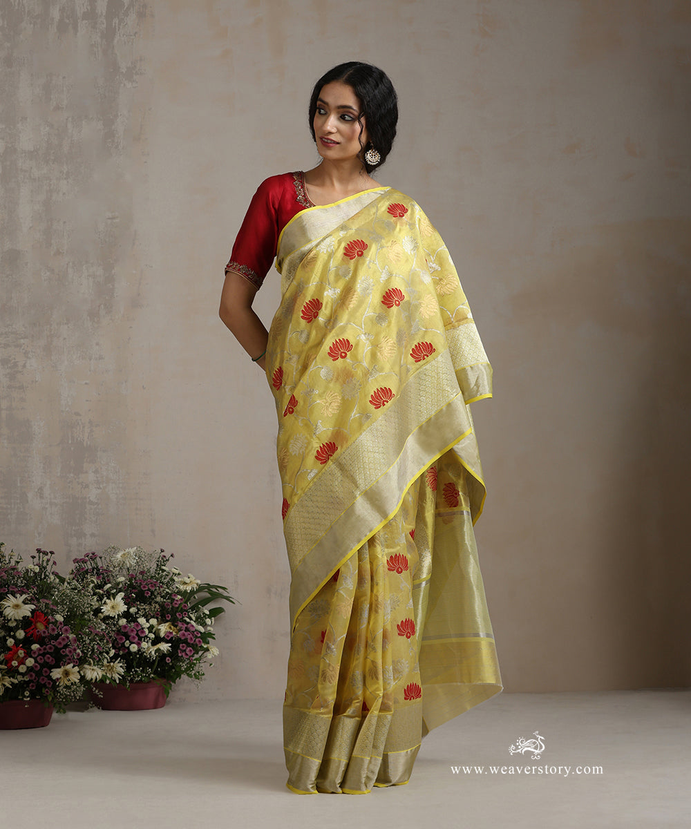 Yellow_Handloom_Pure_Silk_Chanderi_Saree_With_Allover_Gold_And_Silver_Lotus_Jaal_And_Silver_Border_WeaverStory_02