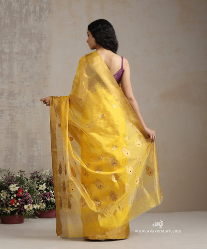 Yellow_Handloom_Pure_Silk_Chanderi_Saree_With_Floral_Boota_Wthi_Red_Meena_WeaverStory_03