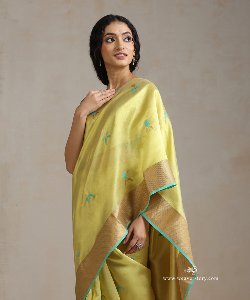 Lemon_Green_Handloom_Pure_Silk_Chanderi_Eknaliya_Saree_With_Gold_Saffron_Border_And_Ice_Blue_Selvedge_WeaverStory_01