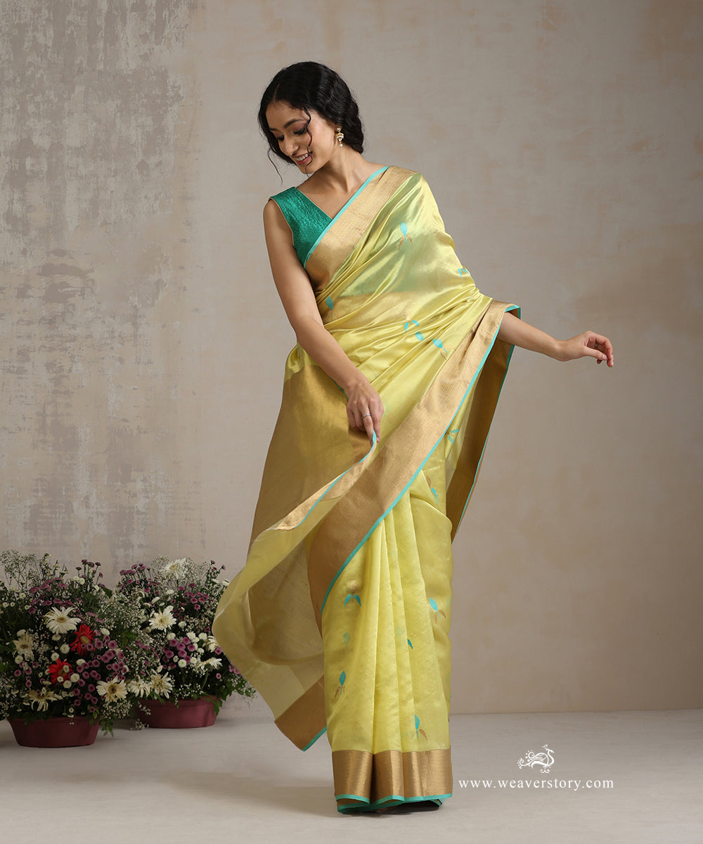 Lemon_Green_Handloom_Pure_Silk_Chanderi_Eknaliya_Saree_With_Gold_Saffron_Border_And_Ice_Blue_Selvedge_WeaverStory_02